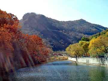 新澳天天开奖资料大全旅游团，沙河seo关键词优化